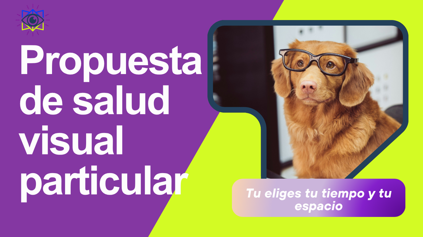 propuesta de salud visual particular